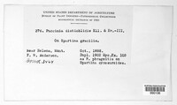 Image Associated With the Occurence